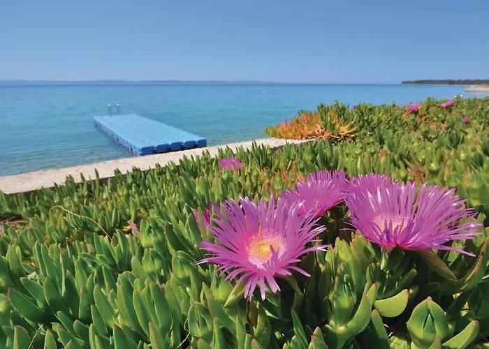 Apartment 7Ulica Br II