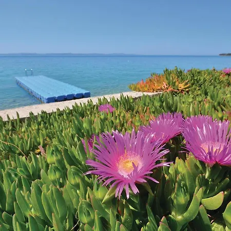 Nice Apartment In Kozino With House Sea View